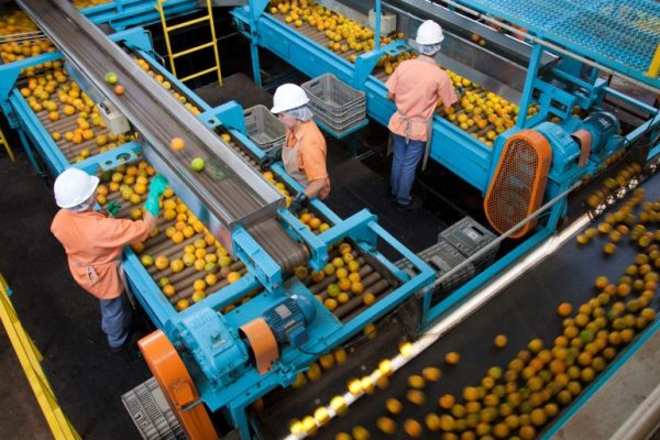 Orange juice importer says Brazil tariffs will squeeze American consumers
