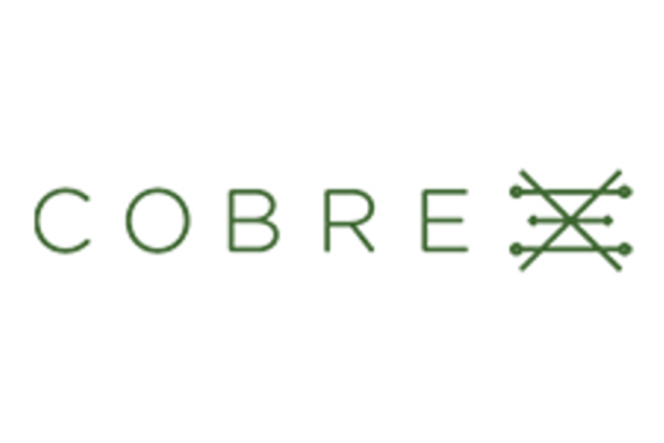 Cobre Limited