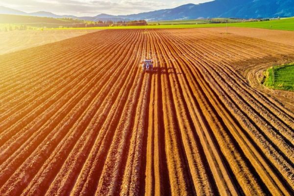 Agriculture Market Update: Q2 2025 in Review